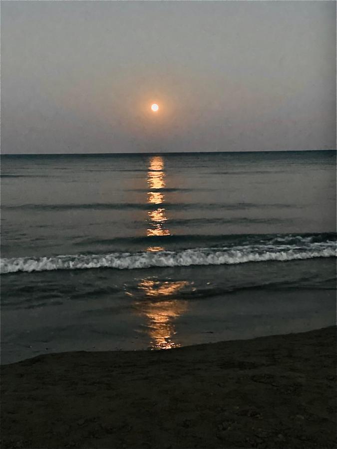 Kareem Flat Apartment Larnaca Bagian luar foto